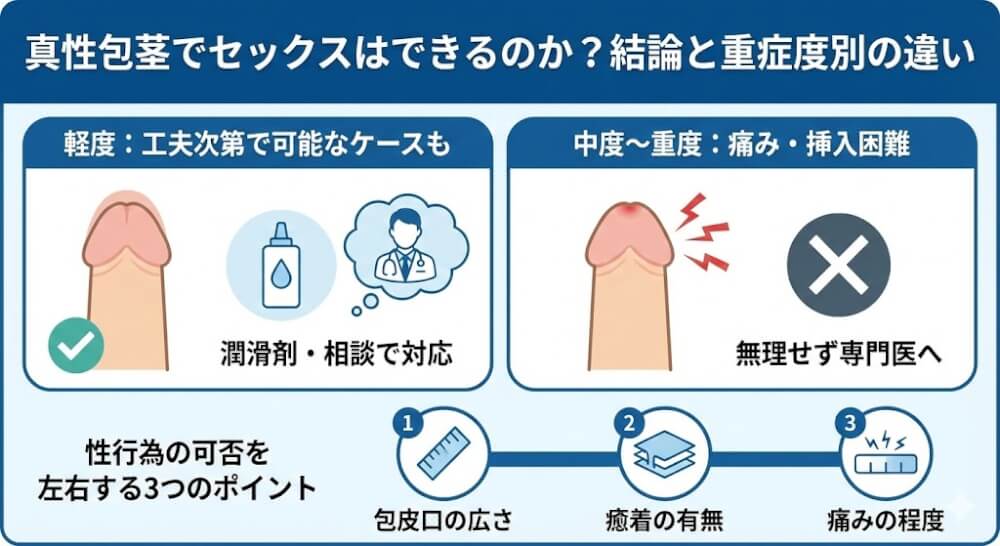 真性包茎でセックスはできるのか?結論と重症度別の違い