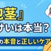 包茎はダサいは本当か｜女性の本音と正しいケアで不安を解消
