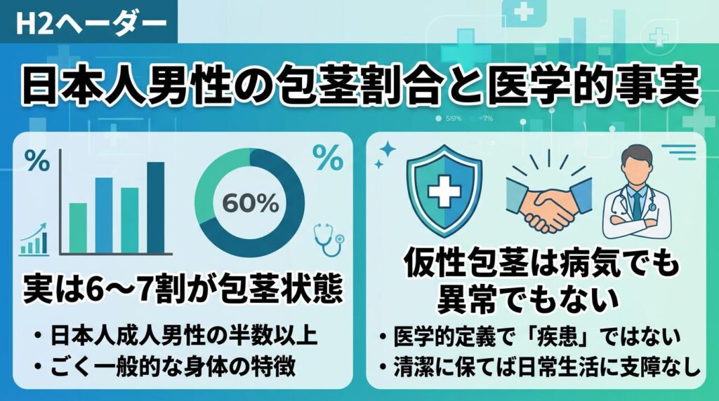 包茎の日本人男性における割合と医学的事実