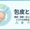 包皮とは？構造・役割・正しい洗い方とトラブル対処法