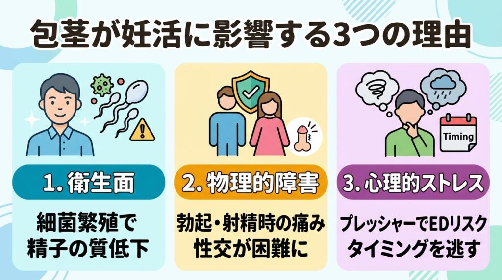 包茎が妊活に影響する可能性がある3つのルート
