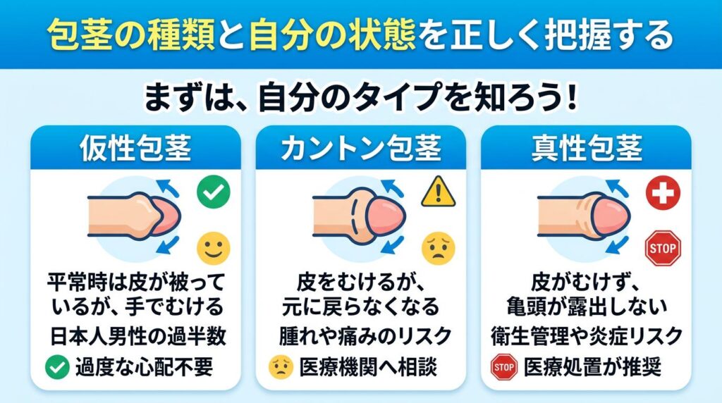 包茎の種類と自分の状態を正しく把握する
