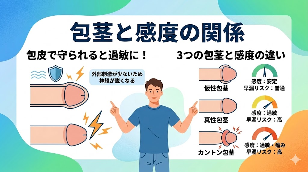 包茎だと感度はどう変わるのか