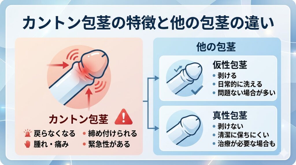 カントン包茎の特徴と他の包茎との違い