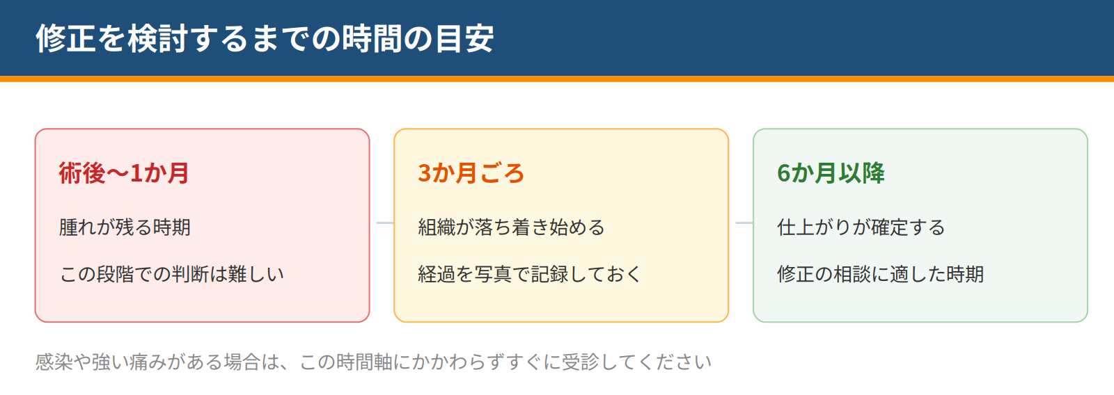 術後1か月までは腫れが残り判断が難しく、3か月ごろに組織が落ち着き、6か月以降に仕上がりが確定して修正の相談に適した時期になることを示した図