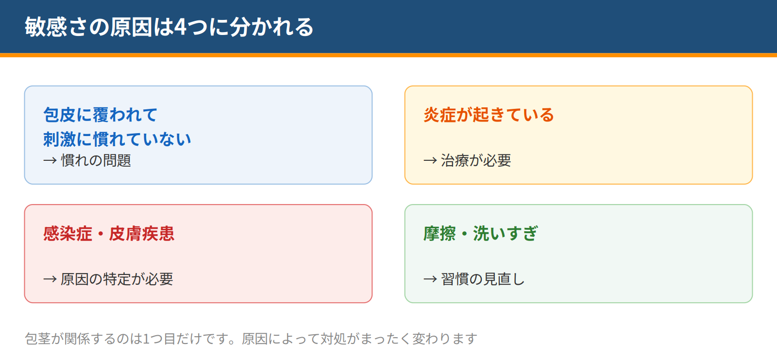 亀頭の敏感さの原因を、包皮に覆われて刺激に慣れていない場合・炎症・感染症や皮膚疾患・摩擦や洗いすぎの4つに分けて示した図
