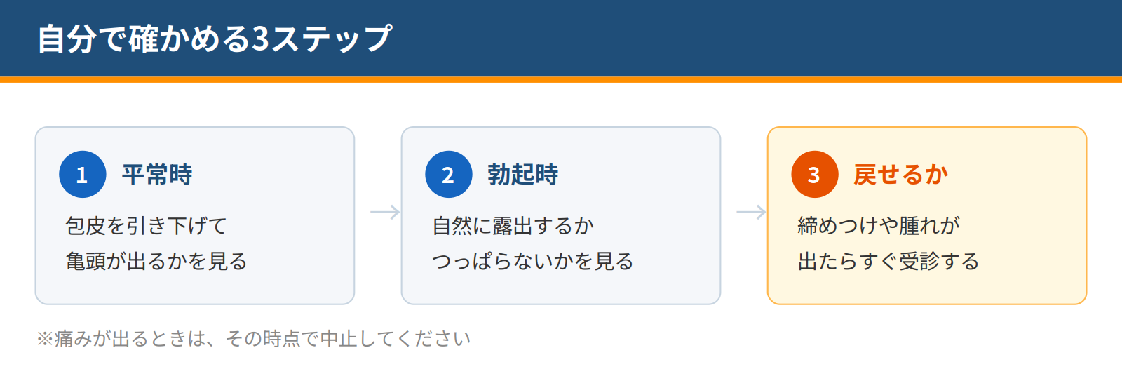 平常時に引き下げられるか、勃起時に露出するか、元に戻せるかの3ステップで確認する手順の図