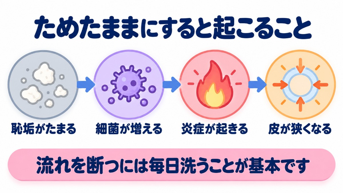 恥垢をためたままにすると、細菌が増えて炎症が起き、くり返すと皮が狭くなる流れを示す図
