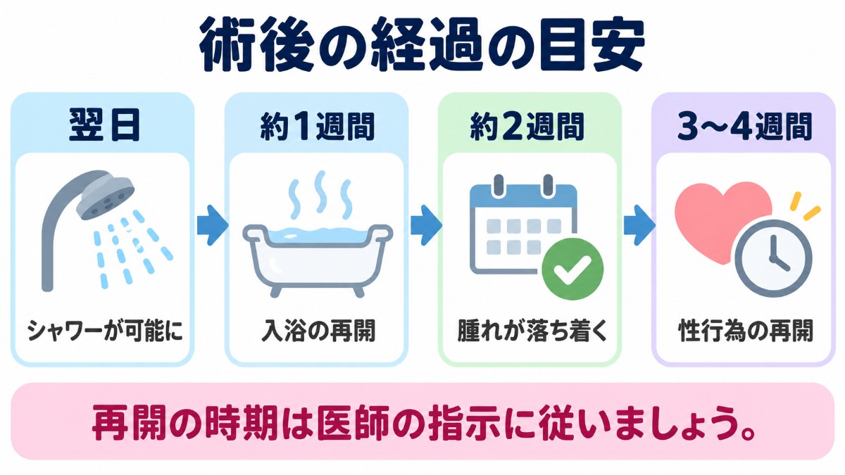 環状切除術の術後の経過の目安（翌日シャワー・約1週間で入浴・約2週間で腫れが落ち着く・3〜4週間で性行為の再開）