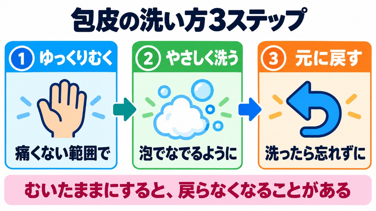 包皮の洗い方3ステップの図解