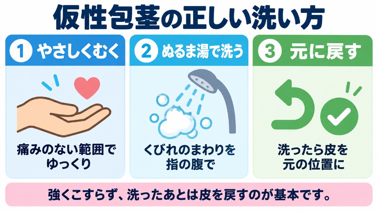 仮性包茎の正しい洗い方（やさしくむく、ぬるま湯で洗う、元に戻す）