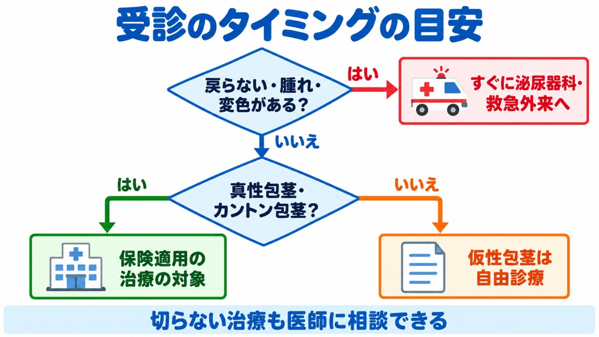 受診のタイミングを、戻らない・腫れ・変色があればすぐ受診、真性包茎やカントン包茎は保険適用、仮性包茎は自由診療という分岐で示した図
