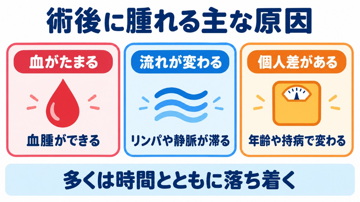 包茎手術後に腫れる3つの主な原因を示した図