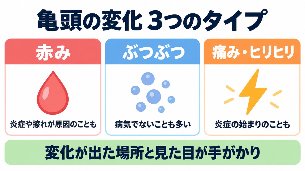 亀頭の変化を赤み・ぶつぶつ・痛みの3つに分けて整理した図