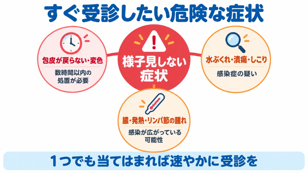 包皮が戻らない、水ぶくれやしこり、膿や発熱など、性行為の痛みで速やかに受診したい危険な症状を示した図