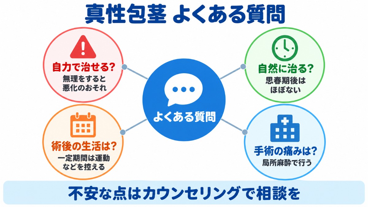 真性包茎は自力で治せるか、自然に治るか、術後の生活、手術の痛みという4つの質問への答えの要点を示した図